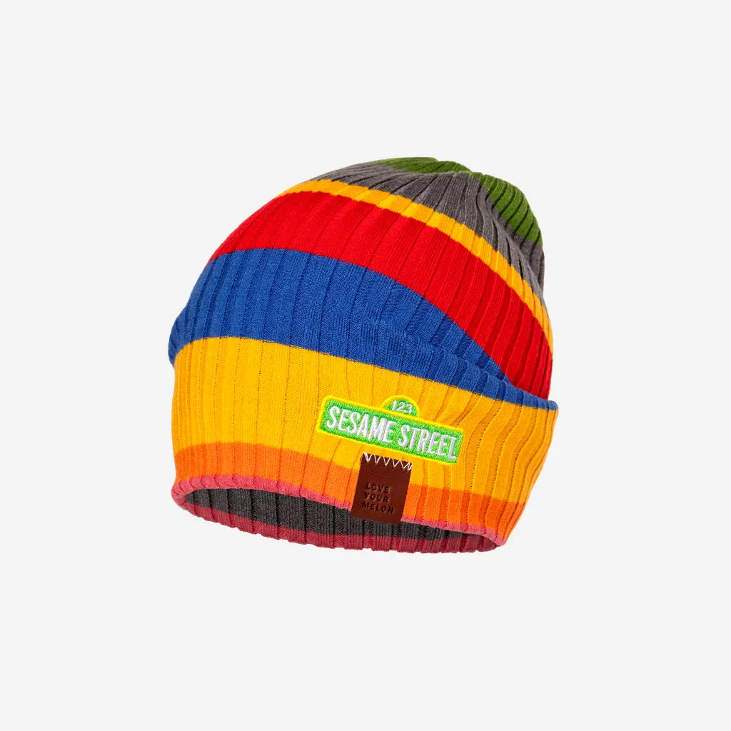 Sesame Street Kids Lightweight Beanie